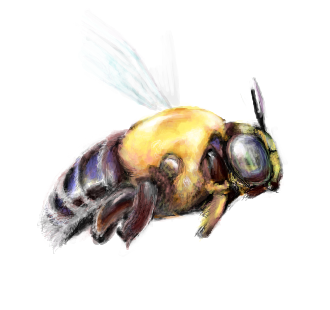 ニコニコ大百科 蜂 について語るスレ 1番目から30個の書き込み ニコニコ大百科
