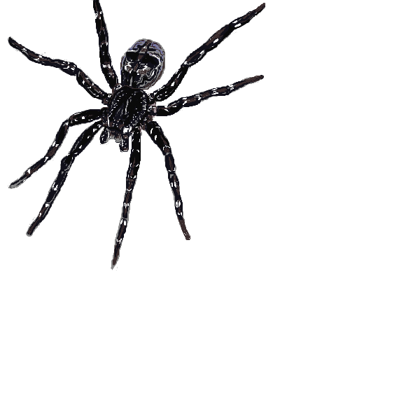 最も選択された かわいい 蜘蛛 イラスト かっこいい 最高の新しい壁紙aahd