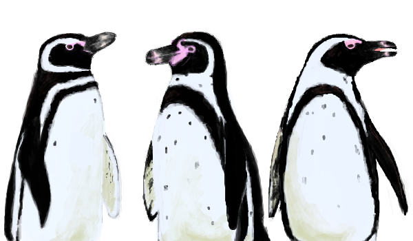 ニコニコ大百科 フンボルトペンギン について語るスレ 1番目から30個の書き込み ニコニコ大百科